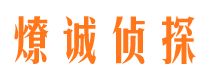 任县市调查公司